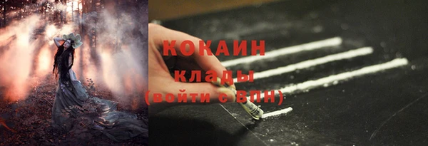 соль ск Няндома