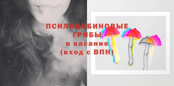 дурь Нягань