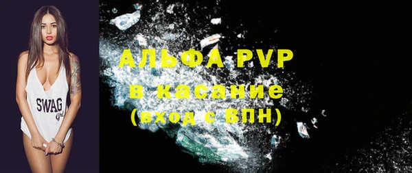 соль ск Няндома